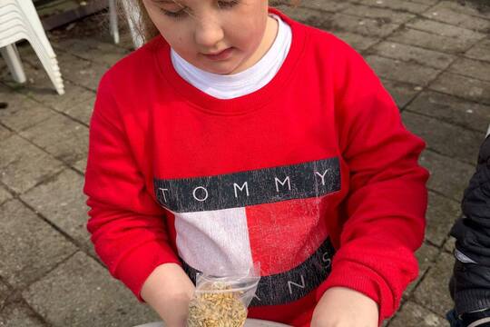 Pracovní činnosti 1