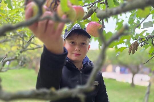 Společné projektové dny ZŠ a MŠ Bohuslavice jako cesta k praktickému vzdělávání a skutečným zkušenostem. 1