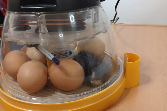 Co je u nás nového? 1