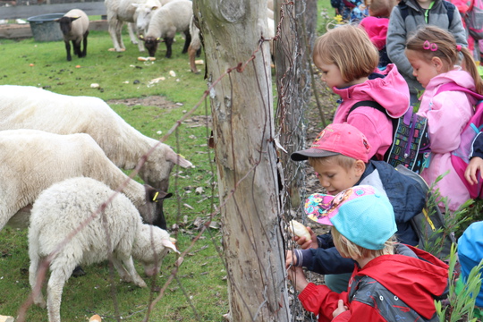 Tématický výlet za zvířátky, farma: Varnsdorfský kocour 1