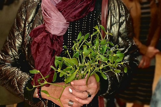 Vánoční jarmark 1