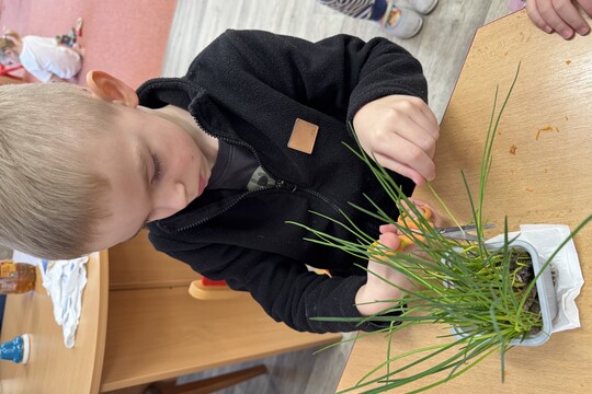 Motýlci z MŠ Kollárova - příprava pomazánky na odpoledne s rodiči 1