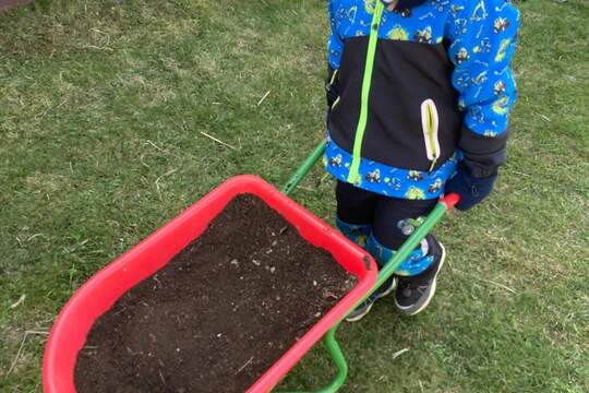 Jak Berušky pěstovaly mrkev Jak Berušky pěstovaly mrkev 1