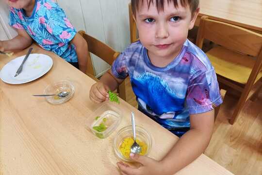 Sluníčka vypěstovala obří salat, to jsme si pochutnali 1