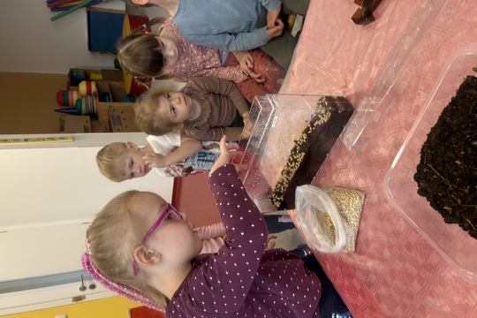 Od semínka k semínku 1