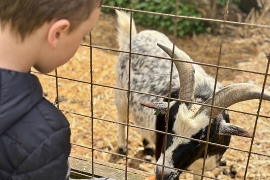 Poznáváme svět zvířat zblízka Poznáváme svět zvířat zblízka 1