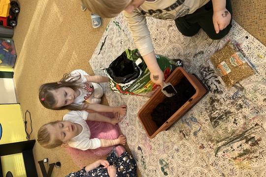 Žabičky - velikonoční osení  1