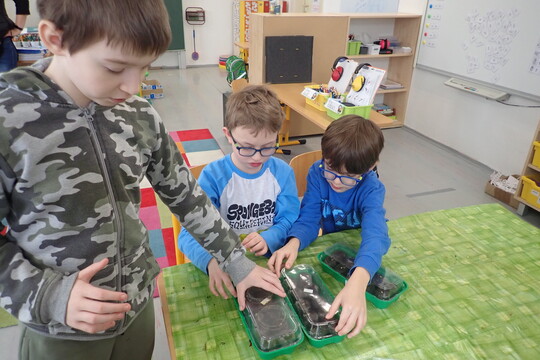 Vysévání semínek 1