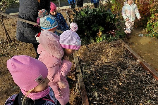 Zazimování jedlé zahrady Zazimování jedlé zahrady 1