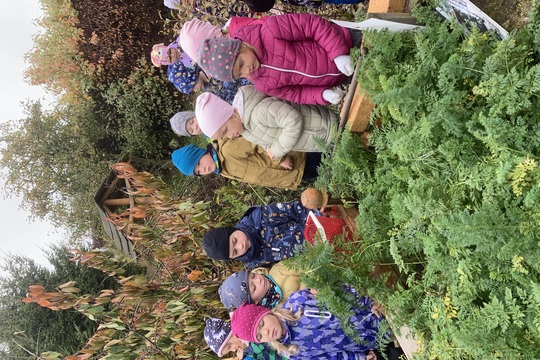 Jak Berušky pěstovaly mrkev 1