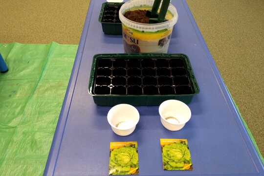 Staráme se o naši zahradu 1