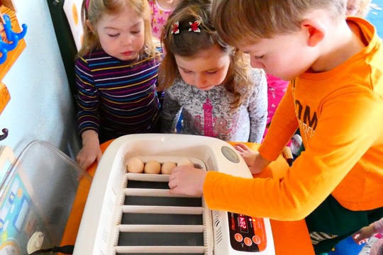 Objevování a poznávání jako každodenní rituál v životě školičky 1