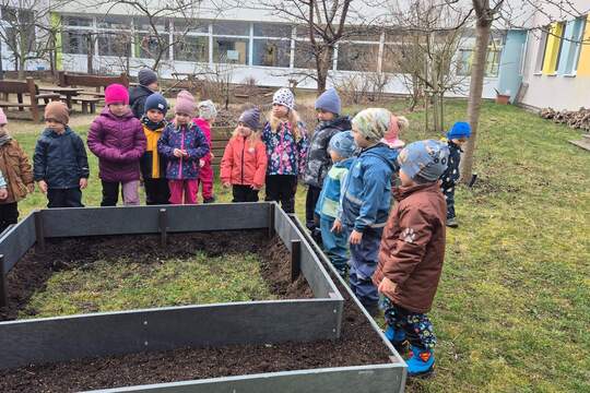 Jahodová pyramida 1