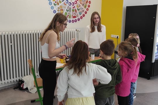 Třídění odpadu Třídění odpadu 1