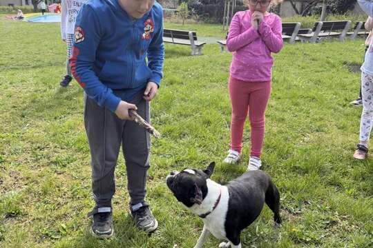 Zvířátka – ať už plastová, plyšová, živá nebo kreslená 1