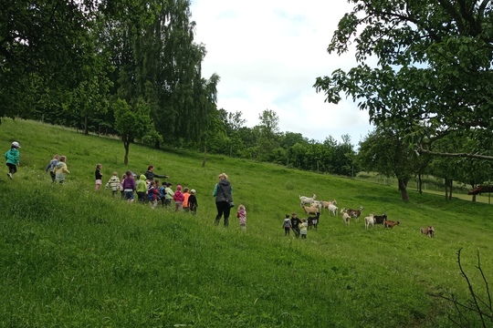 Návštěva kozí ekofarmy  v Merbolticích 1