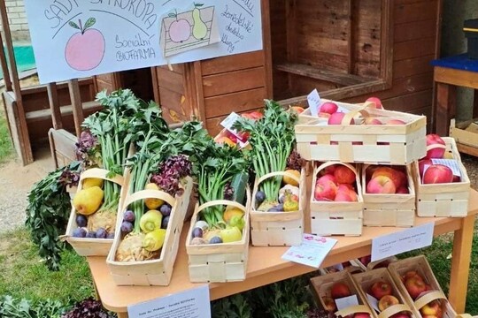 Malý FARMÁŘSKÝ trh a PODZIMNÍ slavnost v PASTELCE 1