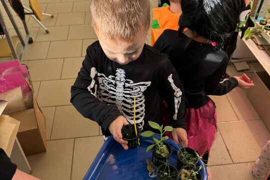 Péče o bylinky z hydroponické zahrádky Péče o bylinky z hydroponické zahrádky 1