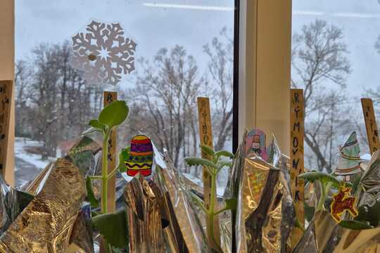 Množíme a přesazujeme nové rostlinky 1