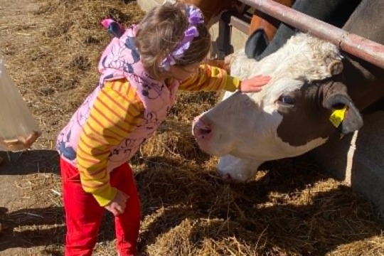 Návštěva farma Drozdových v Kravsku Návštěva farma Drozdových v Kravsku 1