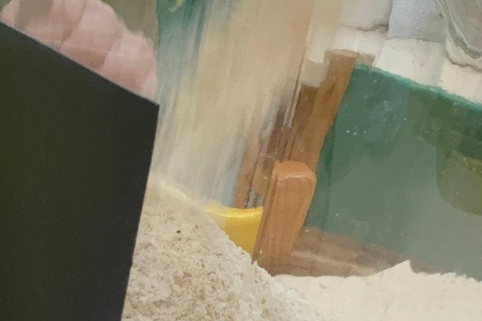 Vlastní a bez polotovaru Vlastní a bez polotovaru 1