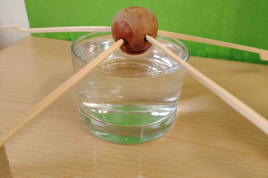 Kytičky z MŠ Kollárova - Jarní květiny 1