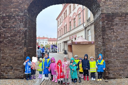 Včeličky si dnes užily krásný den i přes deštivé počasí.  1