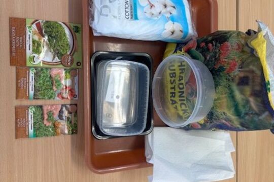 Microgreens - Sovičky 1