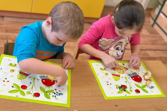 Krmení pro ptáčky z jablíček 1