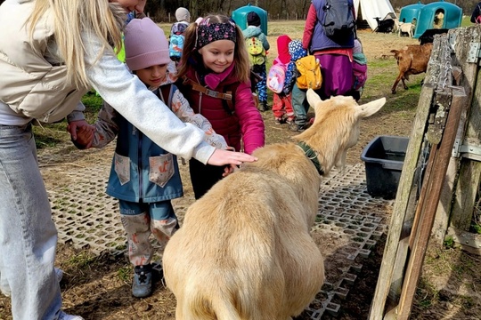 Poznáváme svět zvířat zblízka Poznáváme svět zvířat zblízka 1