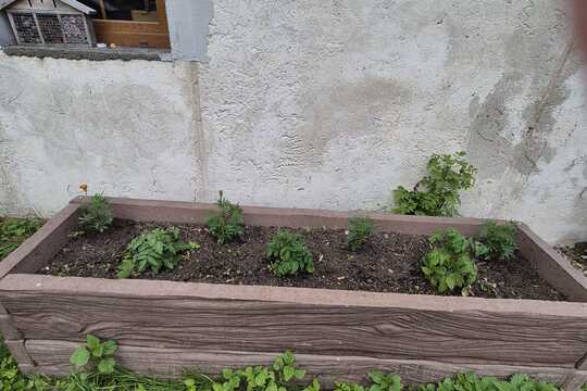 Cesta k jedlé zahradě. Cesta k jedlé zahradě. 1