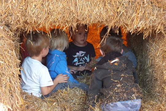 Farma - zemědělské muzeum Netěchovice 1