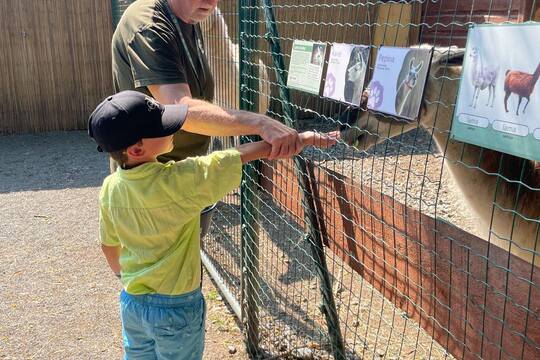 FARMAPARK U TOMA 1