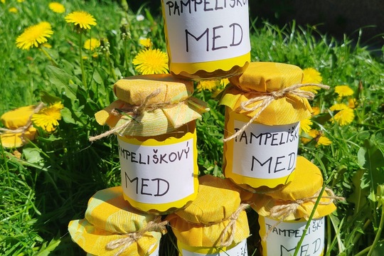 Připravili jsme si pampeliškový med 1