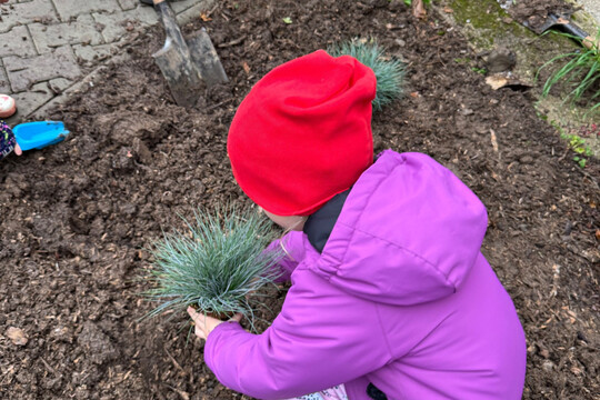 MŠ Dukelských hrdinů - Na jeden den zahradníkem 1