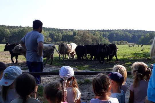 Na farmě u Lišků 1