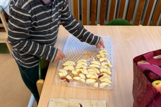 Křížaly - Sovičky Křížaly - Sovičky 1
