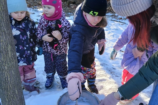 Zmrzlina "vařená" na sněhu 1