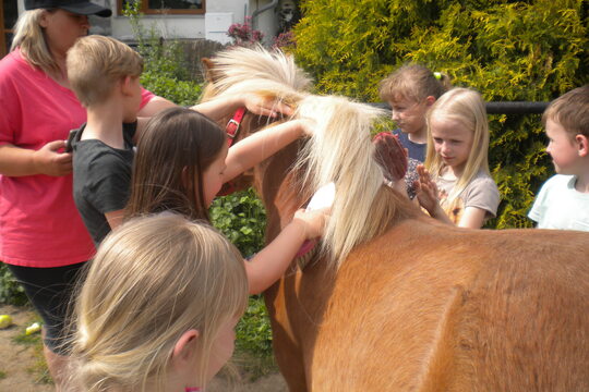 Návštěva farmy "Appaloosa". 1