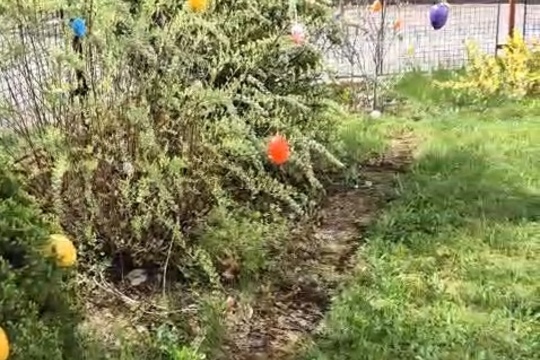 Cesta k jedlé zahradě. Cesta k jedlé zahradě. 1