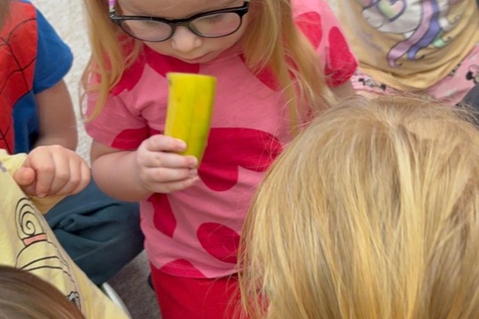 Ovoce a naše smysly  1