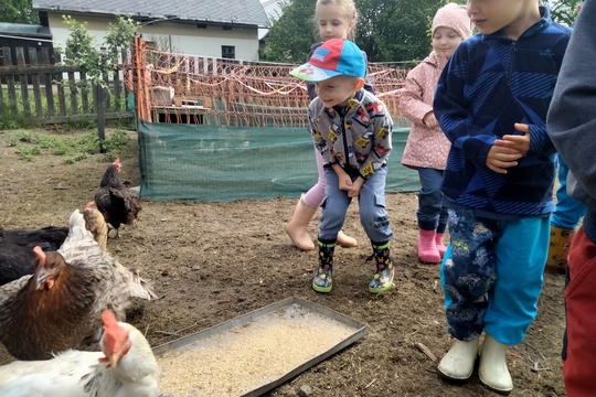 Výlet na farmu  1