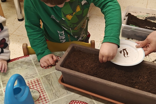 Bylinková radost v naší školce 1