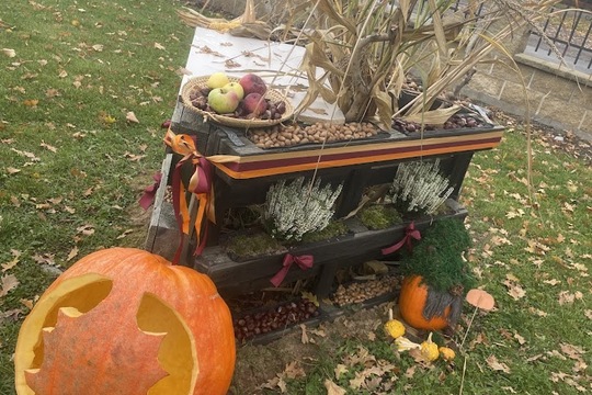 Podzimní slavnost - Jablka a řepa 1