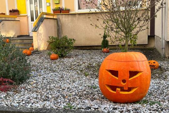 Dýňové slavnosti v Motýlku Dýňové slavnosti v Motýlku 1