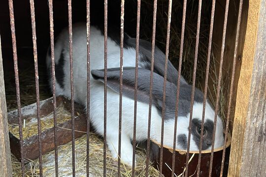 Vánoce na dědině Vánoce na dědině 1