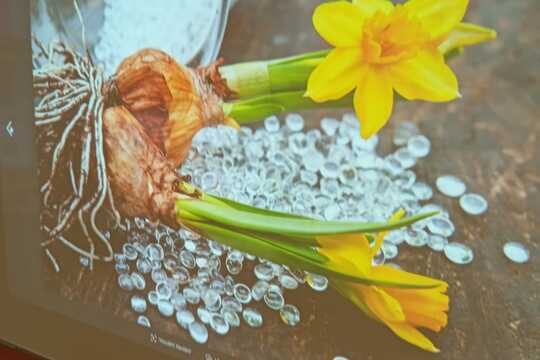 „Matematika naruby aneb pěstujeme v souřadnicích“ 1