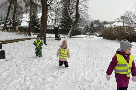 Sovičky z MŠ Dukelských hrdinů - Adventní kartičky Sněhová vločka na jazyku 1