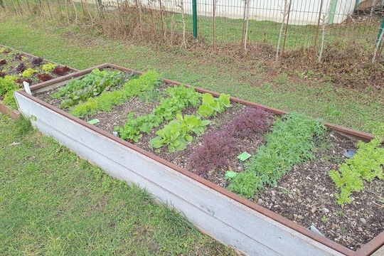 Informace z MŠ Motýlek ze setkání zástupců zapojených škol  do projektu SchoolFood4Change ve Vídni 1