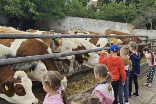Předškoláci vyrazili na farmu do Slavětína 1